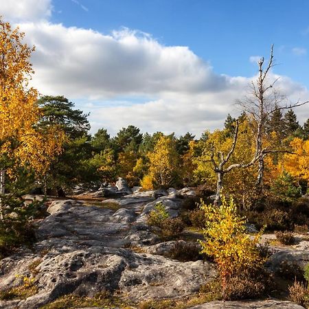 Suites Rive Gauche - Fontainebleau Chez Monique Экстерьер фото