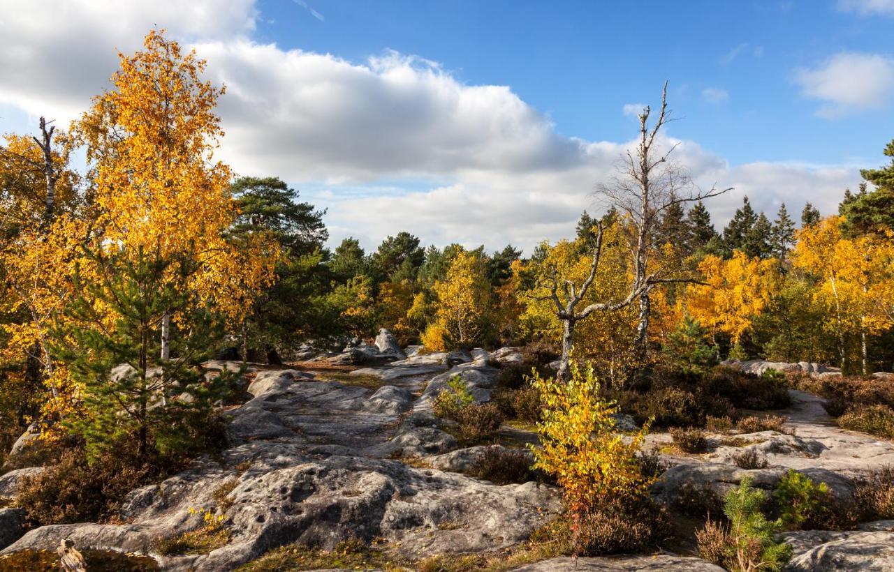 Suites Rive Gauche - Fontainebleau Chez Monique Экстерьер фото